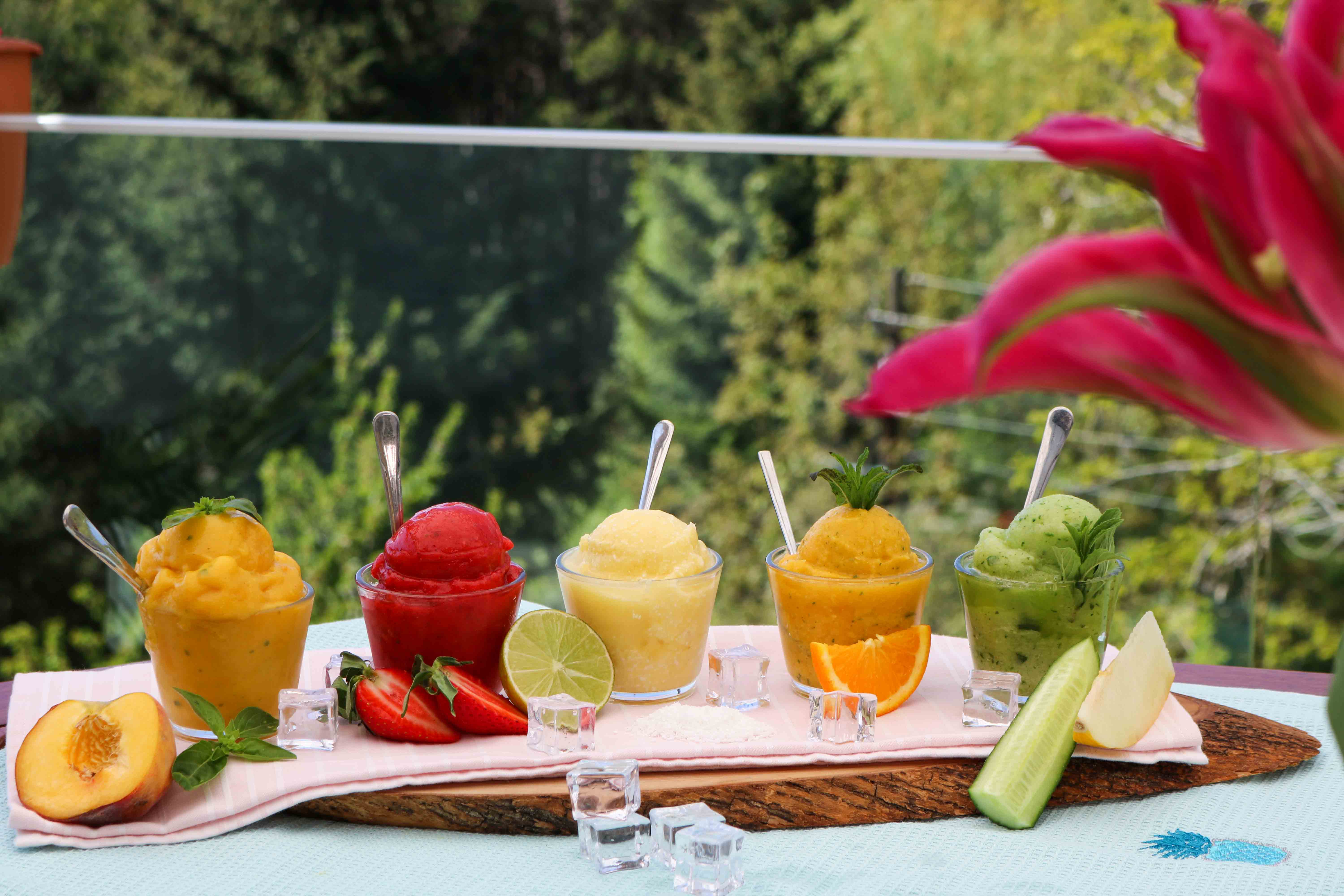 сорбет од овошје, sorbet ovosje  sorbe, sorbet, сорбет